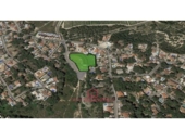 Local comercial en venta con 200m² en Pilar de la Horadada foto