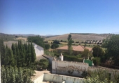 860m² bâtiment pour vente à Íllora, photo