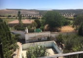 860m² bâtiment pour vente à Íllora, photo