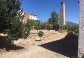 860m² bâtiment pour vente à Íllora, photo