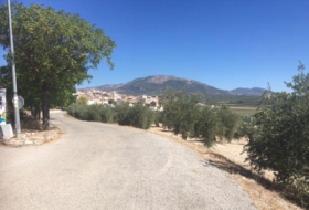 Foto 11