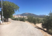 860m² bâtiment pour vente à Íllora, photo