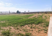 2100m² warehouse industrial for sale in Níjar, photo