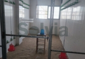 186m² warehouse for rent in Sueca photo