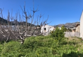 Nave en venta con 50m² en Orba foto