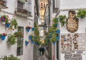 Restaurante en alquiler con 530m² en Córdoba, en la zona de Santiago, Calle Amador de los Ríos foto
