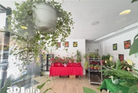 Foto 10