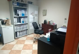 Foto 9