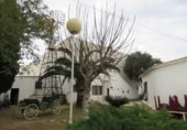 Restaurant
en venda
a el Verger foto