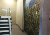 85m² office for rent in Elche, photo