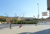 150m² commercial premises for sale in Aspe, photo