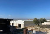 2118m² warehouse industrial for sale in Novelda, photo