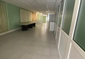 250m² office for rent in Elche, photo