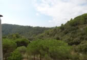  warehouse industrial for sale in Malgrat de Mar, photo