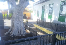 Foto 13