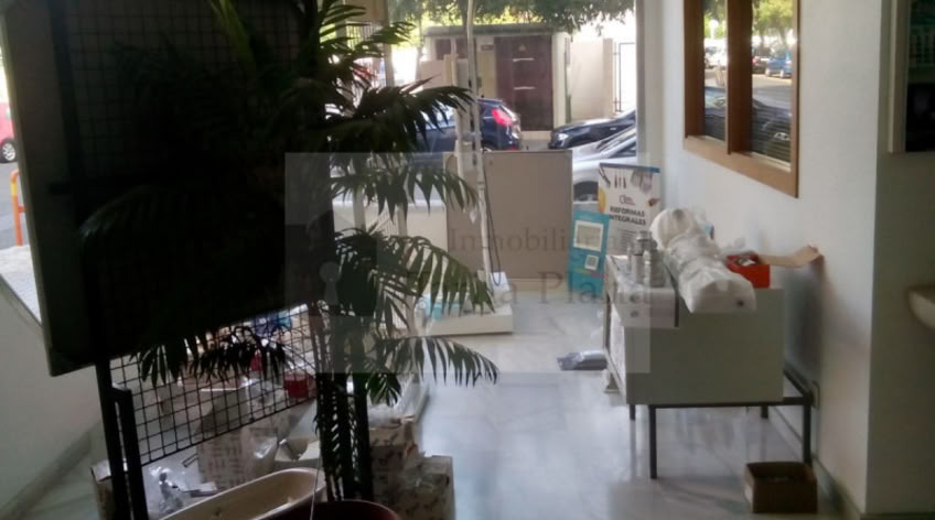 Local comercial