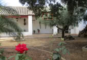 Nau
en venda
a Valdepeñas foto