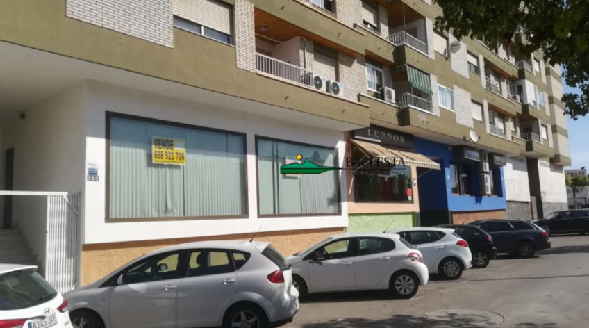 Local comercial