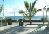 Local comercial
en venda
amb 165m² a San Bartolomé de Tirajana foto