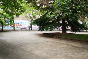 Foto 15
