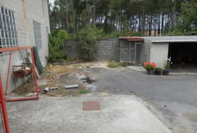 Foto 19