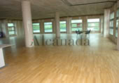 Oficinas en venta con 228m² en Palma foto