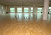 Oficinas en venta con 228m² en Palma foto