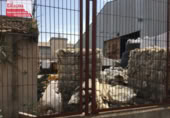 Nave Industrial en venta en Almoradí, Calle Felipe II foto