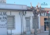 Local comercial en venta en Alcantarilla foto