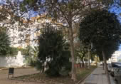 Local comercial en venta con 178m² en Marbella foto