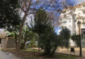 Local comercial en venta con 178m² en Marbella foto