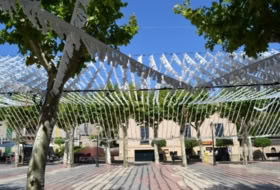 Foto 6