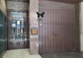 Oficina
en venda
amb 45m² a Oviedo foto