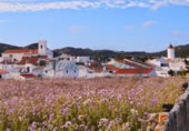 24845m² hotel for sale in Gerona, photo