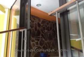 Foto 11