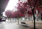 Local comercial en venta con 65m² en Lejona foto