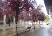 Local comercial en venta con 65m² en Lejona foto
