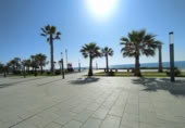 Local comercial en venta en Torrevieja foto