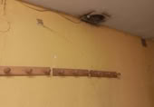 Local comercial en venta con 274m² en Alicante foto