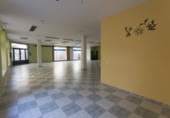 Local comercial en venta con 800m² en Vitigudino foto