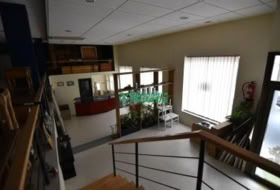 Foto 7