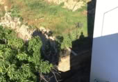 290m² building for sale in Güímar, photo