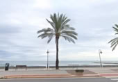 90m² restaurant pour vente à Benicasim, photo