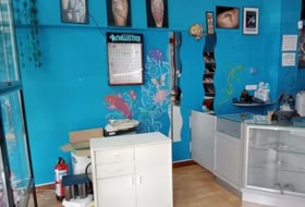 Foto 8