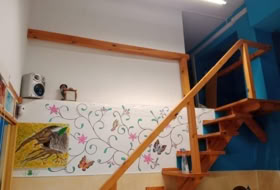 Foto 9