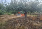 Nau
en venda
a Miranda de Ebro foto