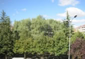 50m² commercial premises for sale in Vitoria-Gasteiz, photo