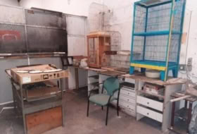 Foto 8
