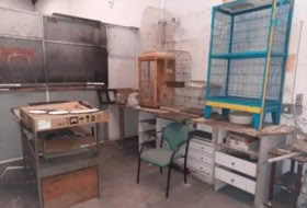 Foto 9