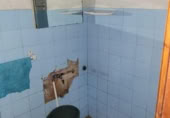 60m² commercial premises for sale in Vinaroz, photo